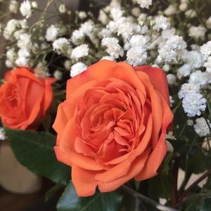 Meet your Posher, Easan